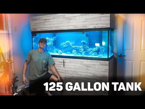 125 GALLON REEF TANK BUILD *DIY STAND, CANOPY, & STUMP*