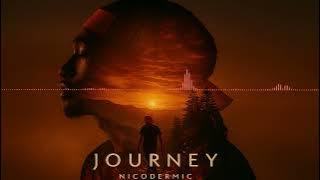 NICODERMIC | JOURNEY VISUALIZER