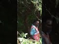 An Inspiration of humanity Harsha sai #harshasai
