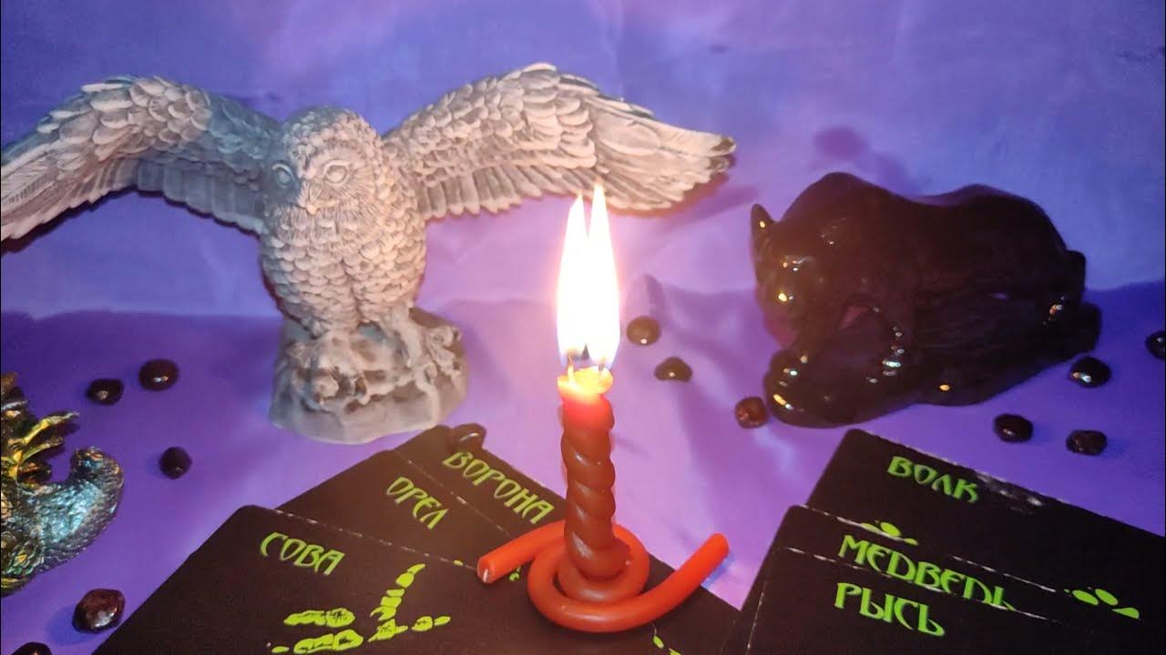 тотемизм индейцев. зверь хранитель по дате рождения. тотем защиты. тотем защиты. тотэм виллр.