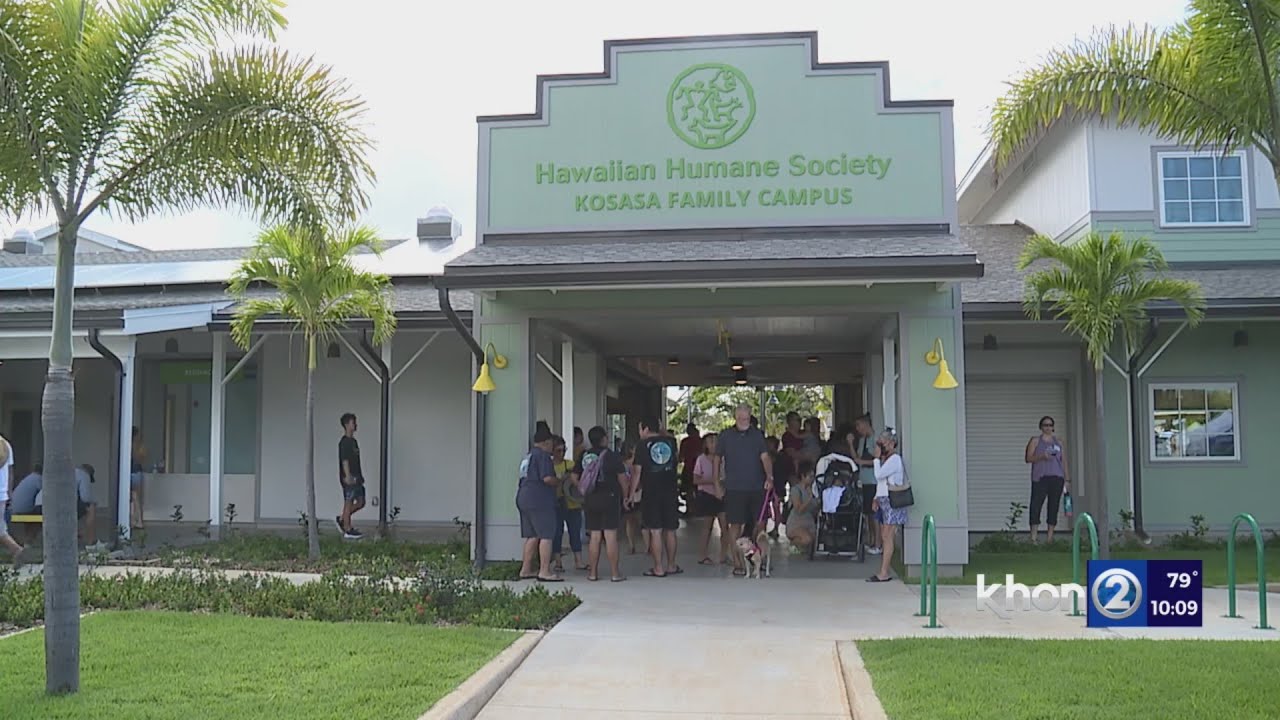 Hawaiian Humane Society Opens 30M Ewa Campus YouTube hawaiian-humane-society-opens-30m-ewa-campus-youtube