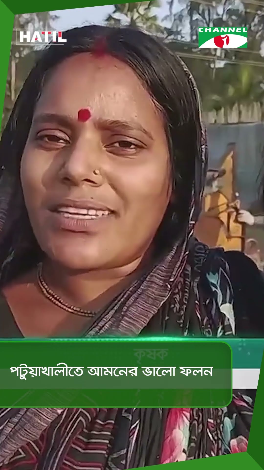 পটুয়াখালীতে আমনের ভালো ফলন || Channel i News