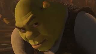 Shrek Rizz Meme Original