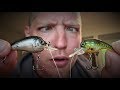 TINY CRANKBAIT CHALLENGE! (Surprising Results!)
