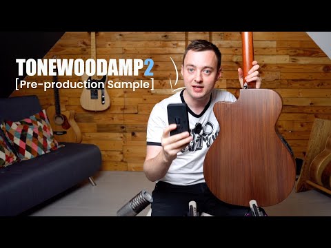 ToneWoodAmp2 - How the ToneWoodAmp works