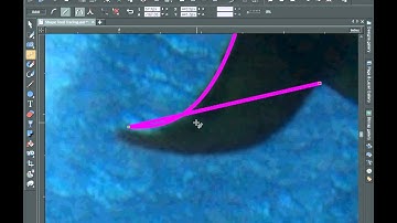 Trace Photographs with the Shape Tool in Xara Pro X9