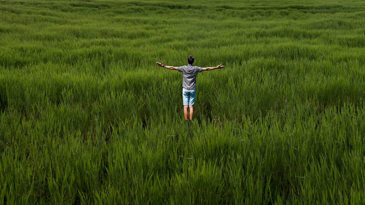 Touching Grass YouTube