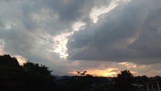 Langgam Jauh Sudah menurut Mus Mulyadi