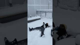 He wanted to make his first snow angel