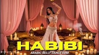 Arabian Habibi EDM Remix – Belly Dance Power Vibes