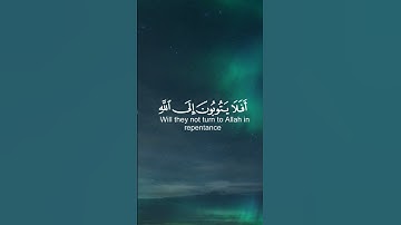 #قران_كريم#قرآن || أفلا يتوبون إلى اللّه و يستغفرونه و الله غفور رحيم||القارئ:عبد الرحمان مسعد