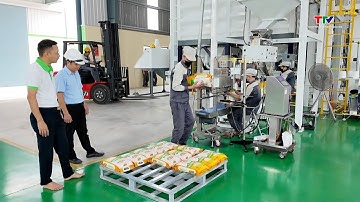 Doanh nghiệp xây dựng phương án lương, thưởng tết năm 2026