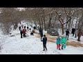 Зима в Севастополе. Дети катаются на санках.