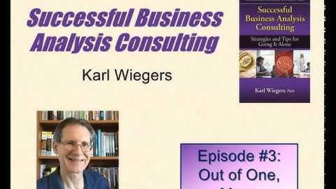 Successful Business Analysis Consulting #3: Out of One, Many