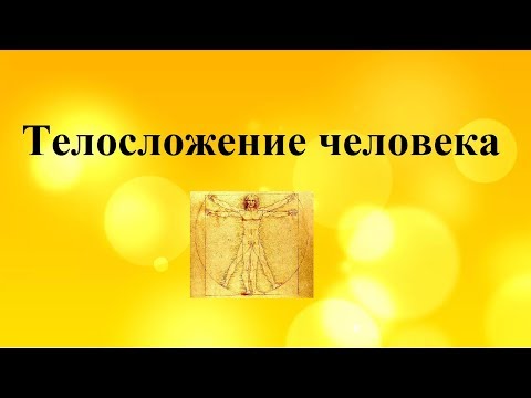 Типы конституций человека