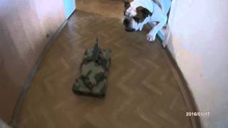 Bulldog VS Leopard 2 screenshot 4