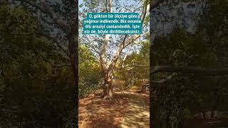 Kuranı Kerim Suresi Fazıl Kısakürek Erler Ki