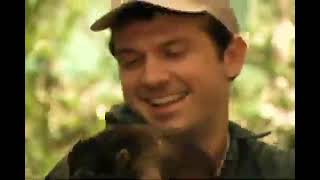 Zoboomafoo: Spots And Stripes