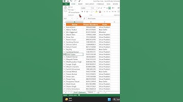 Excel Clipboard Function