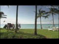 Casino Royale - L'Ocean Club au Bahamas - YouTube