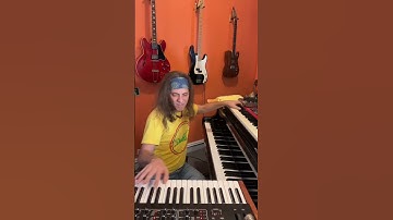🎹⚡️✨ #prophet #synth #nord #synthesizer #improvisation #keyboardist  #scottchasolen #platypus  🙏🫧