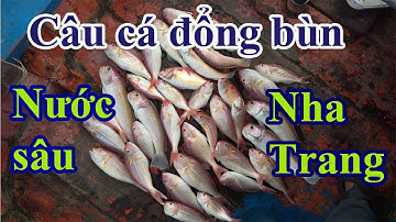 Câu cá biển - Câu cá đổng bùn Nha Trang