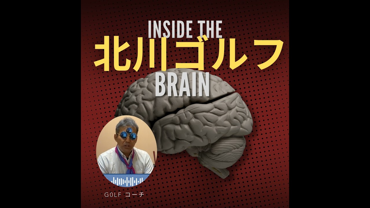 脳が安定すると！