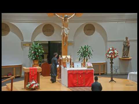 वीडियो: चर्च ऑफ द होली क्रॉस और सेंट बार्थोलोम्यू (कोलेगियाटा स्विएटेगो क्रिज़ा आई स्व। बार्टलोमीजा) विवरण और तस्वीरें - पोलैंड: व्रोकला