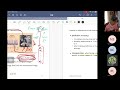 Regularization techniques: overview of sparsity, prediction accuracy versus interpretation