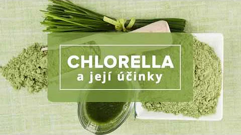 Co je Chlorella?