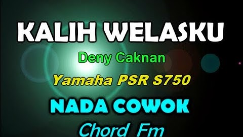 Denny Caknan - Kalih Welasku (KARAOKE) By Saka
