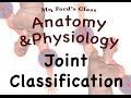 Joint Classification Quiz