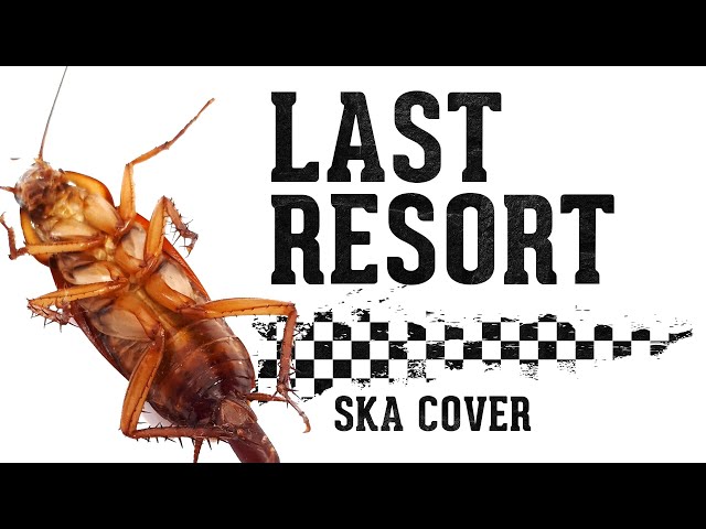 skameleon - Last Resort (Papa Roach Nu-SKA-Cover) class=