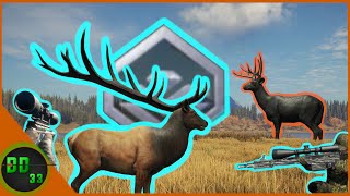 We Got Our Biggest Diamond Ever with The New Rifle! Call Of The Wild