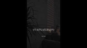 القارئ هزاع البلوشي