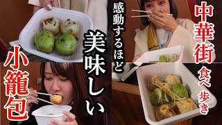 【vlog】食べ歩き / 小籠包 / フカヒレ焼餅 / フカヒレスープ / 中華ちまき / yokohama trip#2【中華街】