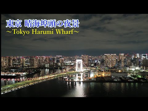 【4K 東京 晴海埠頭の夜景　～Tokyo Harumi Wharf～／Drone Vlog #９】