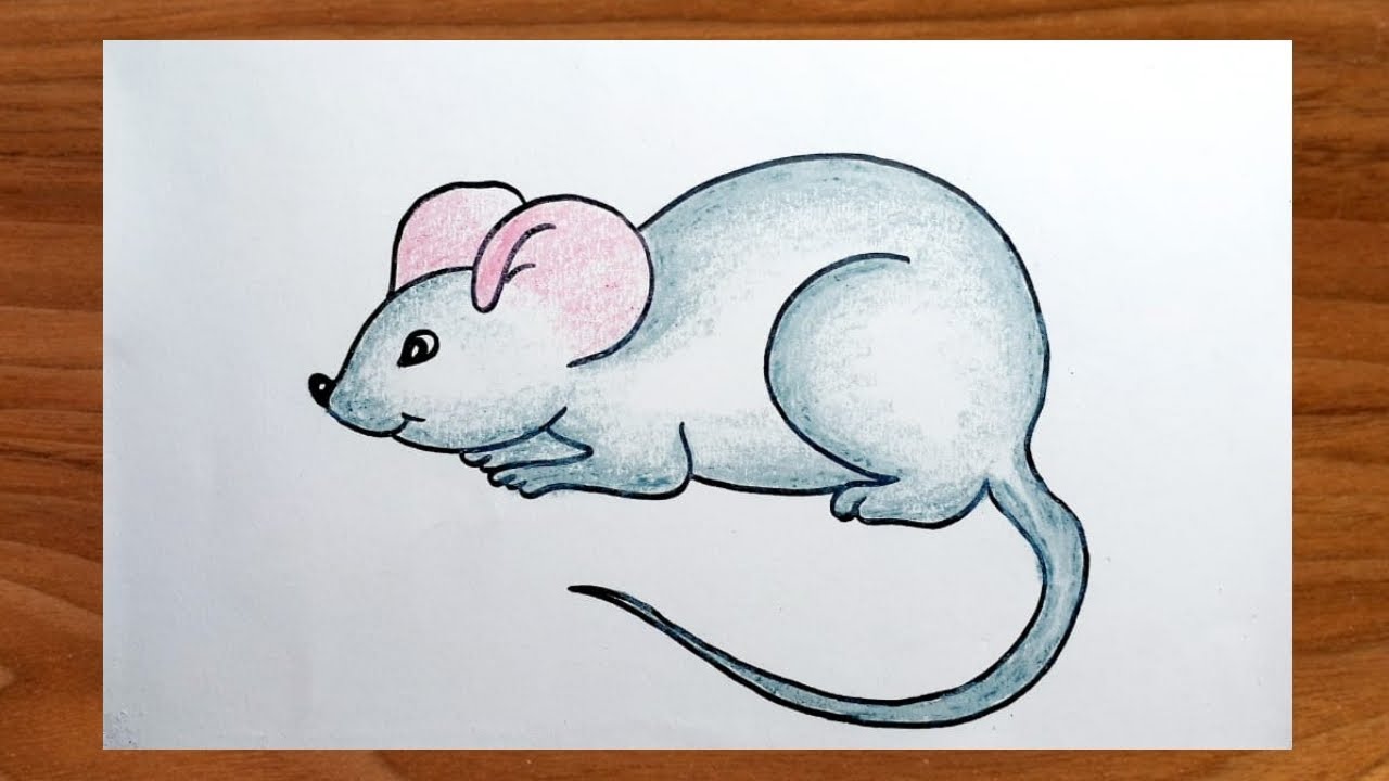 Rat Drawing Images  Free Download on Freepik