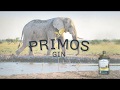 Elephants Alive Primos Gin Collaboration