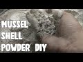 Diy mussel shell powder