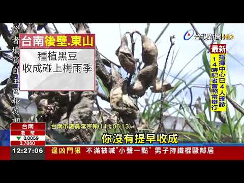 議員追問毛豆、黑豆什麼關係 險考倒黃偉哲