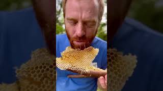 Fresh honeycomb on a stick courtesy of the Bees
