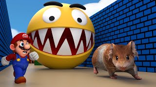 Hamster and Super Mario Evil Pacman Brothers escapes the awesome maze Part 2