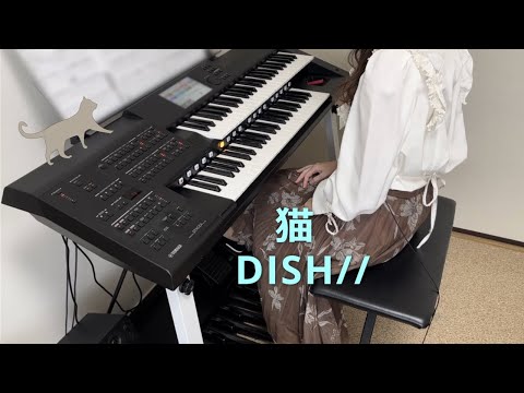 【エレクトーン】DISH／／「猫」