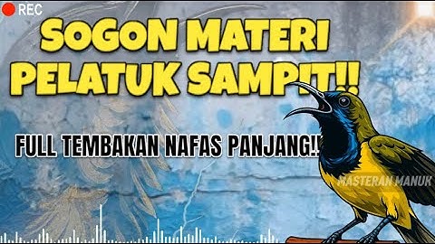 🔴 MASTERAN SOGON MATERI PELATUK SAMPIT!! 🔥 PEMANCING GACOR PALING JITU!! #sogon #sogongacor