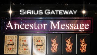 Your Ancestors have been trying to tell you this • Messages from Sirius ⭐️ Pick A Card 🔮