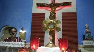 Fri. 2nd July Charasmatic prayer healing service and Blessed Sacrament Adoration at O. L.Of Dolours
