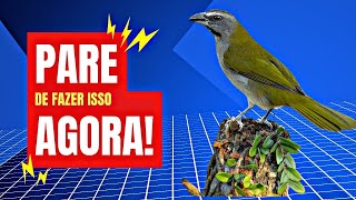 POR ISSO QUE SEU TRINCAFERRO NÃO CANTA MUITO ESSE É O DETALHE QUE FALTAVA.