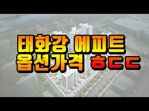 태화강 에피트 옵션포함하면 가격이 ㅎㄷㄷ!! 같은 가격으로 갈수 있는 곳이 달라졌다. 선택은 빠를 수록 좋다.