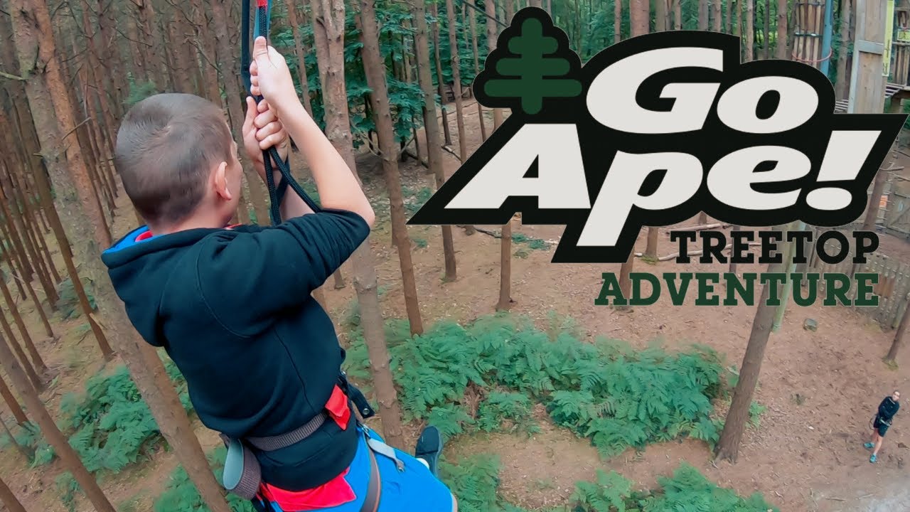 Go Ape Tree Top Adventure Tilgate Park Crawley 19 Youtube